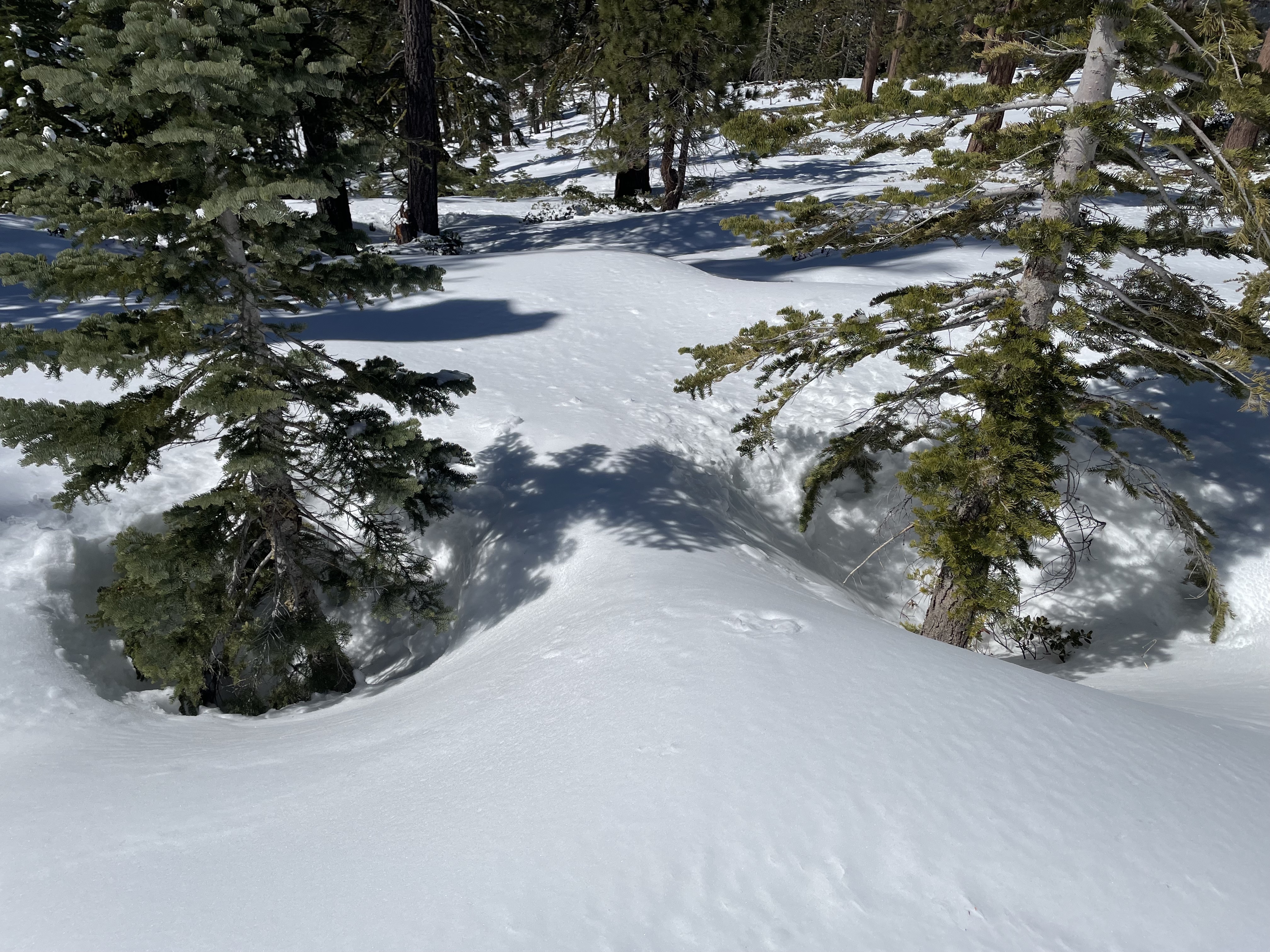 Snowwell